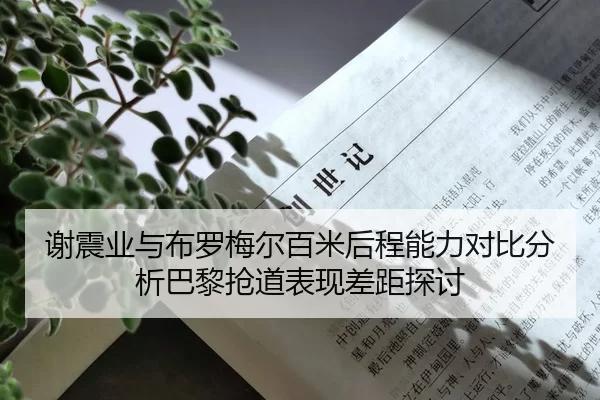 谢震业与布罗梅尔百米后程能力对比分析巴黎抢道表现差距探讨