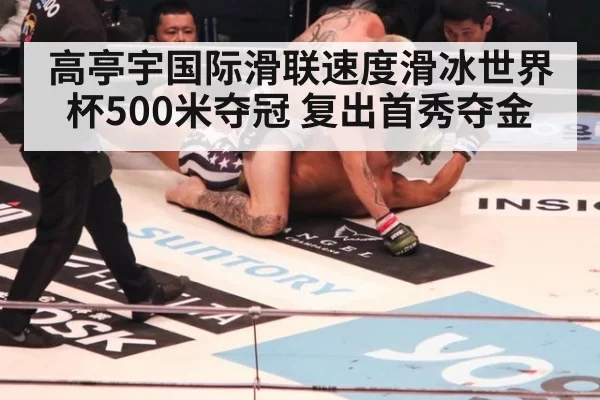 高亭宇国际滑联速度滑冰世界杯500米夺冠 复出首秀夺金（aiyouxi）