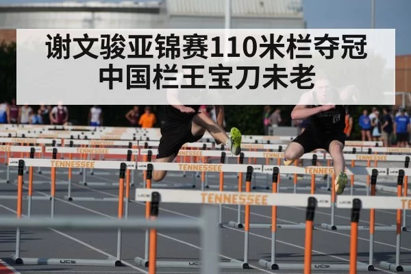 110m hurdles race